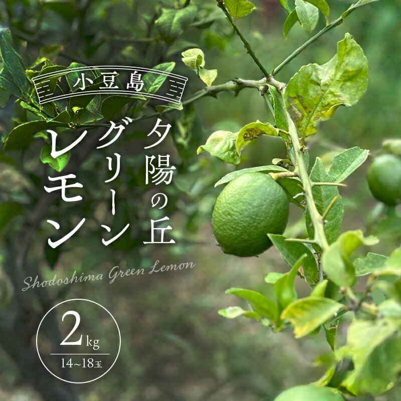 【ふるさと納税】小豆島 夕陽の丘 グリーンレモン 2kg (14～18玉) 果物 フルーツ 柑橘 レモン　お届け：2025年11月1日～2025年12月20日
