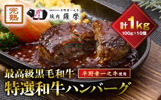 
特選和牛〈焼肉薩摩 完熟平野幸一之牛〉ハンバーグ10個【1014403】
