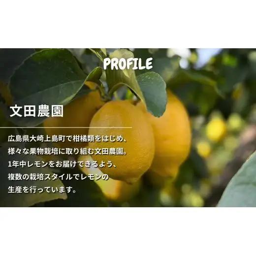 芳醇! 文田農園のレモン 約3kg 【2027年 1～2月発送】