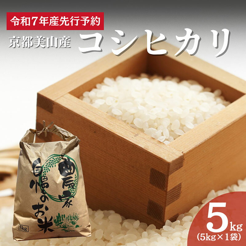 【ふるさと納税】令和7年産先行予約 京都美山産コシヒカリ 5kg　こしひかり 精米 コメ こめ お米 単一原料米 ごはん ご飯 京都　お届け：令和7年10月中旬以降順次発送