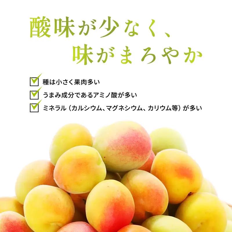 【ふるなびWEEK対象】 梅酒 BENICHU38 750ml お酒 リキュール 梅酒