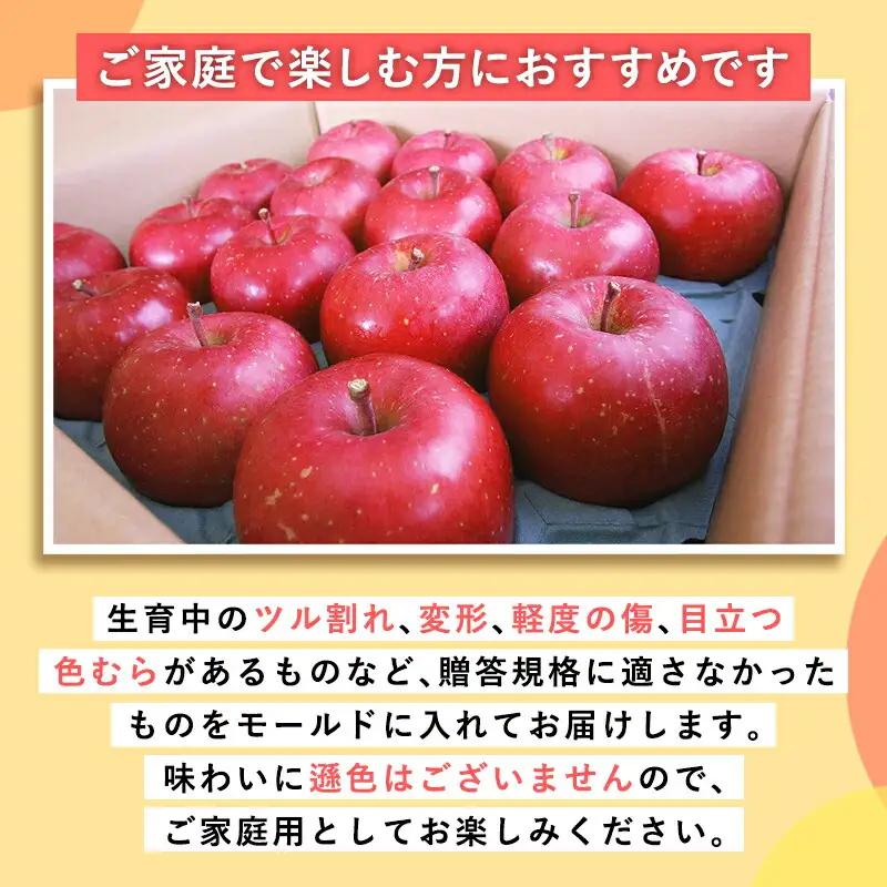 りんご 家庭用 おいらせ10kg りんご