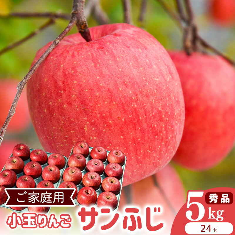 【ふるさと納税】令和8年産 《ご家庭用》小玉 りんご サンふじ 秀品 5kg（24玉） 2026年産 山形県産【2026年12月上旬頃から下旬頃発送予定】お取り寄せ ご当地 特産 産地直送 果物 フルーツ 林檎 リンゴ 小ぶり 小さめ 果物 東北 2026年 山形産 5キロ