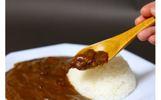 A5ランク国産黒毛和牛使用のビーフカレー（6人前）_19-174-1