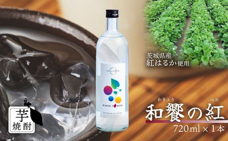 芋焼酎 和饗の紅 720ml 1本 芋焼酎