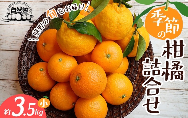 
            自然塾 季節の柑橘詰合せ 約3.5㎏ みかん ミカン 温州みかん フルーツ 果物 くだもの 柑橘 不知火 せとか 果物セット フルーツセット 甘い 濃厚 産地直送 数量限定 人気 国産 三重県 熊野市【szjk0003】
          
