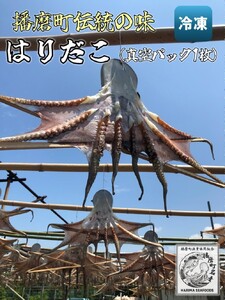 播磨町産 はりだこ(ほしだこ)１匹 タコ 海鮮 魚介類 瀬戸内 兵庫県 播磨町