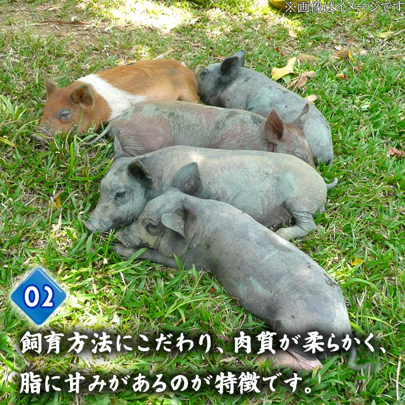 四万十ポークカツ【特製たれ付き】8人前 【道の駅須崎】