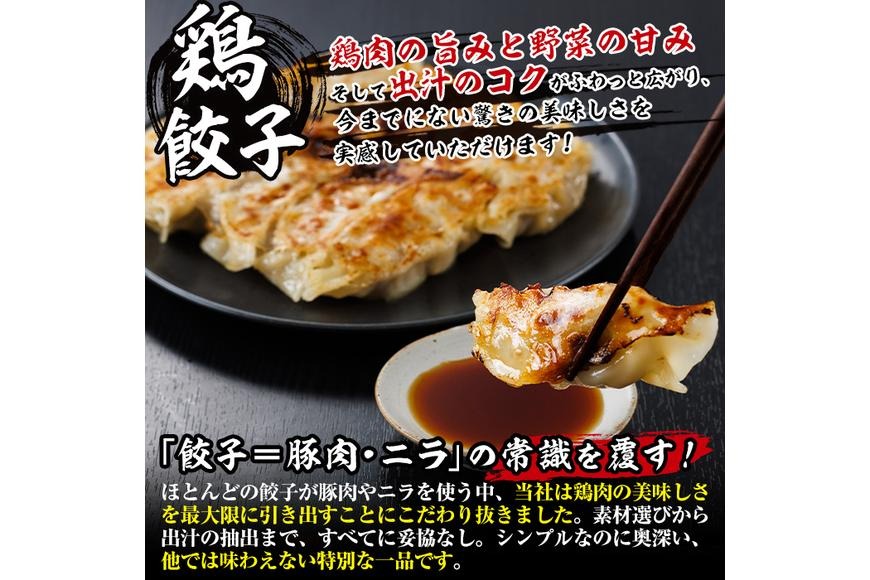 鶏の本場の老舗鶏屋が作る味鶏の餃子セット (計72個・1Pあたり12個入・柚子胡椒30g付き！) 鶏餃子 餃子 鶏肉 ぎょうざ おかず お惣菜 おつまみ 冷凍【V-71】【味鶏フーズ】