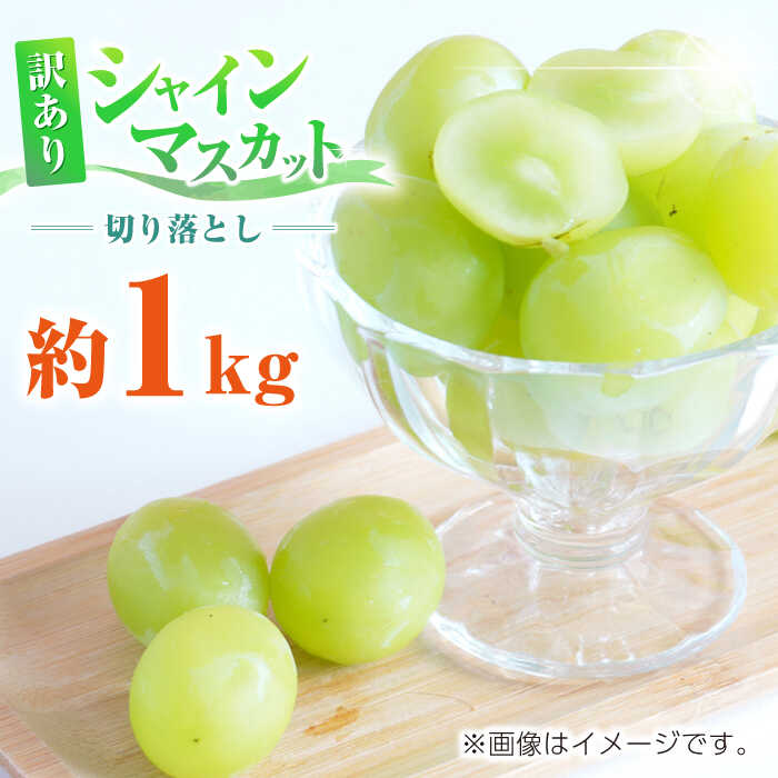 【ふるさと納税】【先行予約】訳あり シャインマスカット 切り落とし 約1kg ブドウ 葡萄 おすすめ 国産 熊本県 山鹿 果物 くだもの フルーツ 人気 ランキング ブランド キャンペーン 特産品 種類 産地 九州 食品 季節 評価 レビュー 送料無料 【合同会社 社方園】[ZBZ006]