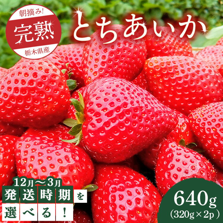 【ふるさと納税】【先行予約】【選べる発送月】朝摘み！完熟とちあいか 640g（320g×2p）　※離島への配送不可