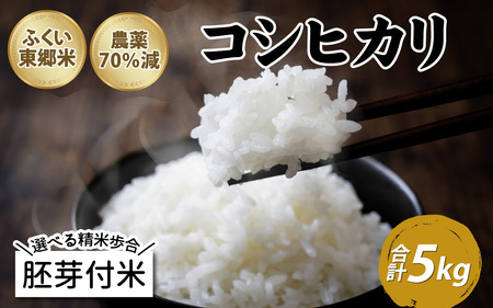 【胚芽付米】令和5年産 ふくい東郷米 特別栽培米 農薬70％減 コシヒカリ 5kg [A-020026_03]