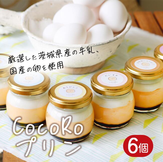 【ふるさと納税】CocoRoプリン6個セット（ギフト包装＋メッセージシール付き）｜茨城県 つくば市 プリン スイーツ 生クリーム カスタードクリーム バニラ 牛乳 卵 国産 甘味 お菓子 デザート ギフト
