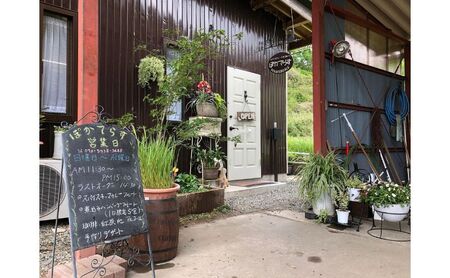 カフェ ぽかてらす お食事チケット ドリンク＋デザート付き cafe ケーキ カレー ハンバーグ 手作り お食事券 