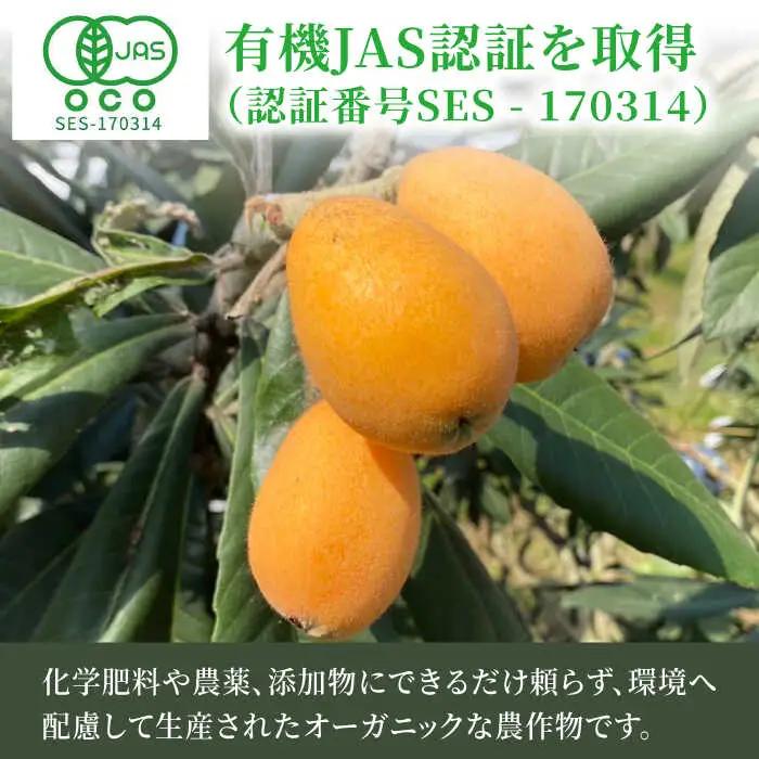 【★先行予約★ 2027年4月末発送開始】びわ 約250g(3-7個)×4パック / びわ [AFAB002]