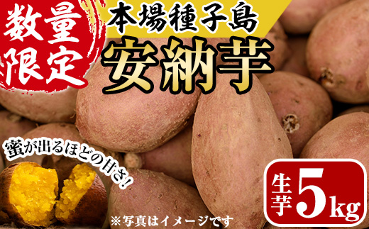 n078 ＜期間限定・数量限定！＞種子島産 安納芋(5kg)【あぐりの里】