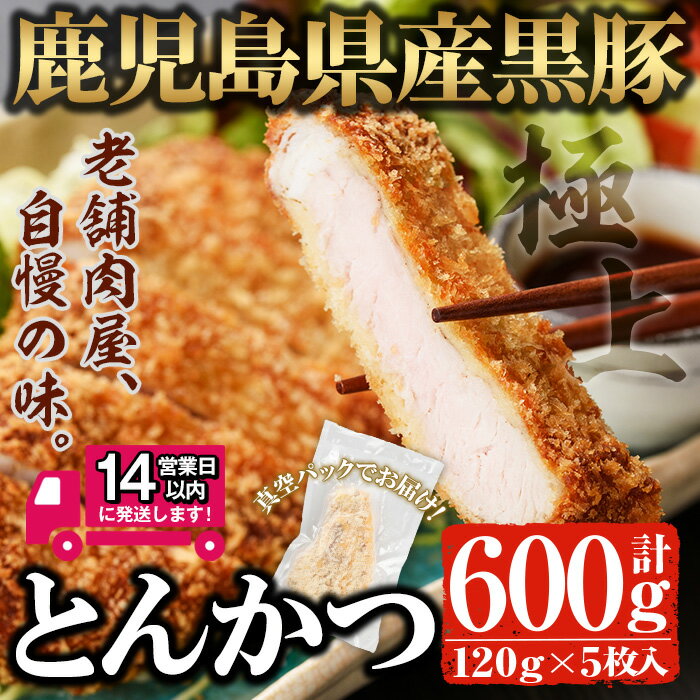 【ふるさと納税】＜14営業日以内発送！＞鹿児島県産 黒豚ロースとんかつセット(120g×5枚・計600g) 国産 鹿児島県産 黒豚 豚肉 ロース肉 お肉 とんかつ トンカツ セット 冷凍【佐多精肉店】