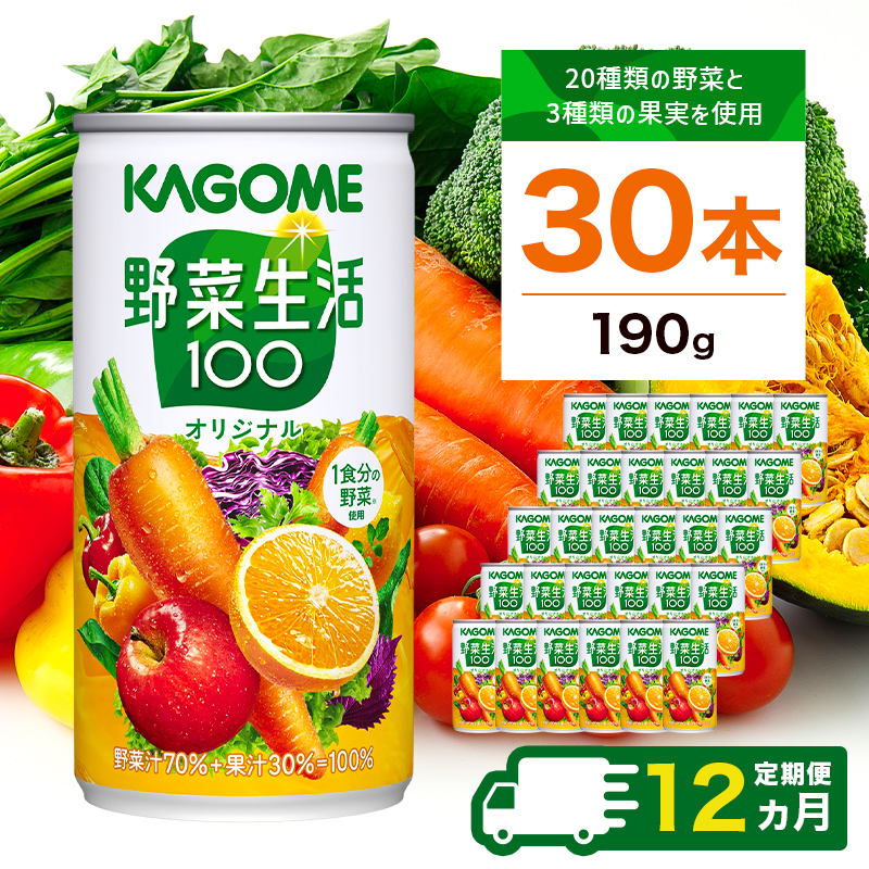 【定期便12ヵ月】カゴメ　野菜生活100　オリジナル　190g缶×30本 1ケース 毎月届く 12ヵ月 12回コース【 栃木県 那須塩原市 】 ns001-016