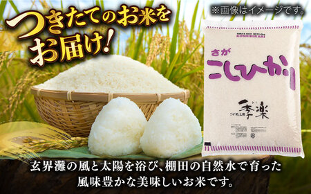 【佐賀県産米】令和5年産 上場産こしひかり 約9kg / お米 精米 ブランド米 ふるさと納税米 / 佐賀県 / さが風土館季楽 [41AABE053]