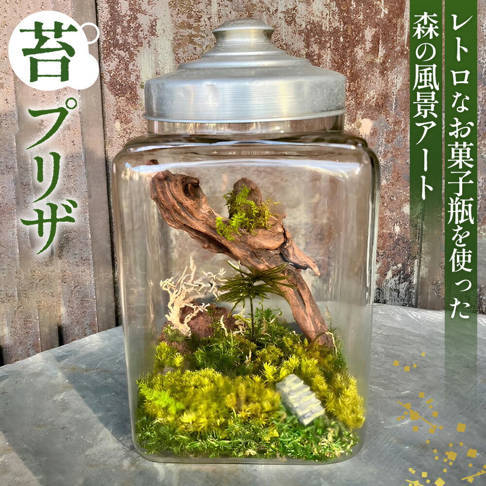 【ふるさと納税】No.356 レトロなお菓子瓶を使った森の風景アート／ 苔 鑑賞 癒し レトロ 送料無料 埼玉県