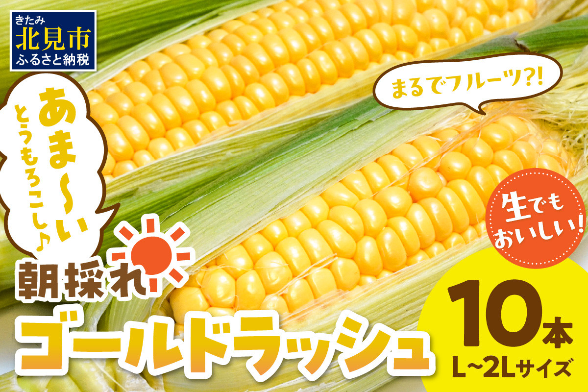 
            【予約：2024年9月上旬から順次発送】北海道北見市産 朝採れ ゴールドラッシュ 10本 ( 野菜 トウモロコシ とうもろこし コーン ゴールドラッシュ 採れたて 新鮮 )【164-0005】
          