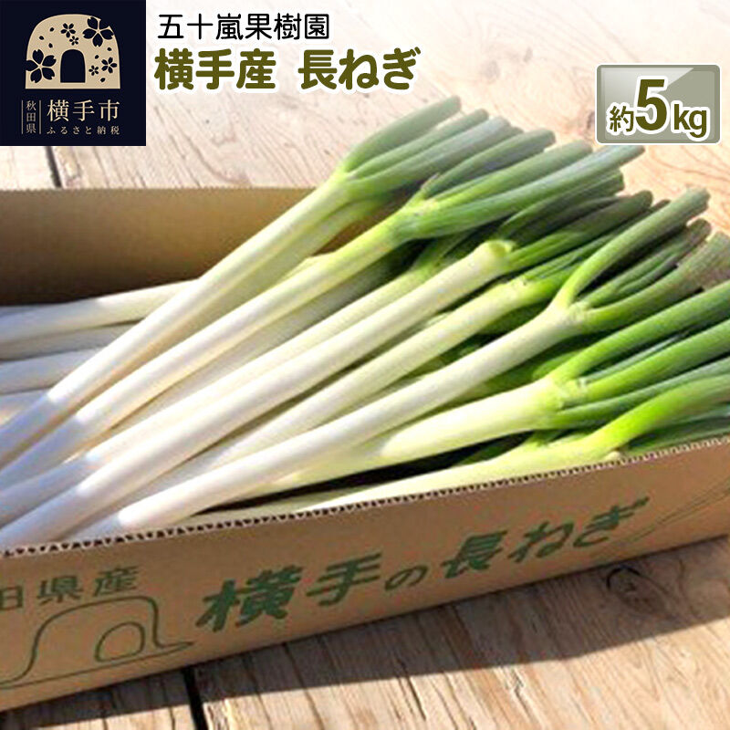 【ふるさと納税】【先行受付】10月下旬より発送 横手産 長ねぎ 約5kg [先行予約 葱 ネギ 野菜 秋田県 横手市]