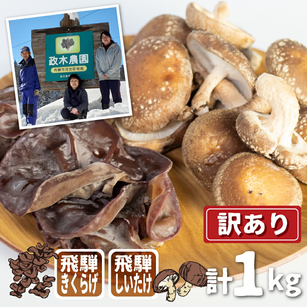 【ふるさと納税】《先行予約》2026年11月より発送 〜 肉厚 菌床しいたけ・生きくらげセット 計1kg / 食べ比べ 政木農園 肉厚 椎茸 野菜 きのこ シイタケ キクラゲ 国産 簡易包装 訳アリ 家庭用 大容量 飛騨市 [Q948x] 10000円 1万円