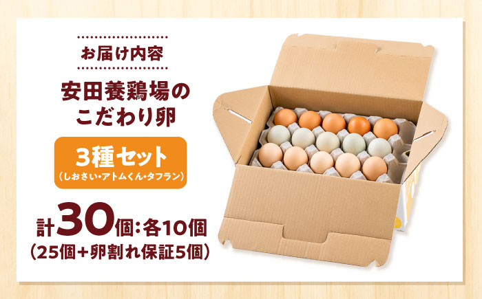 安田養鶏場の卵 3種セット しおさい アトムくん タフラン 30個入り（各10個入り） 横須賀市 産地直送 たまご 黄身 濃厚 卵 玉子 タマゴ 鶏卵  【安田養鶏場】 [AKHN006]
