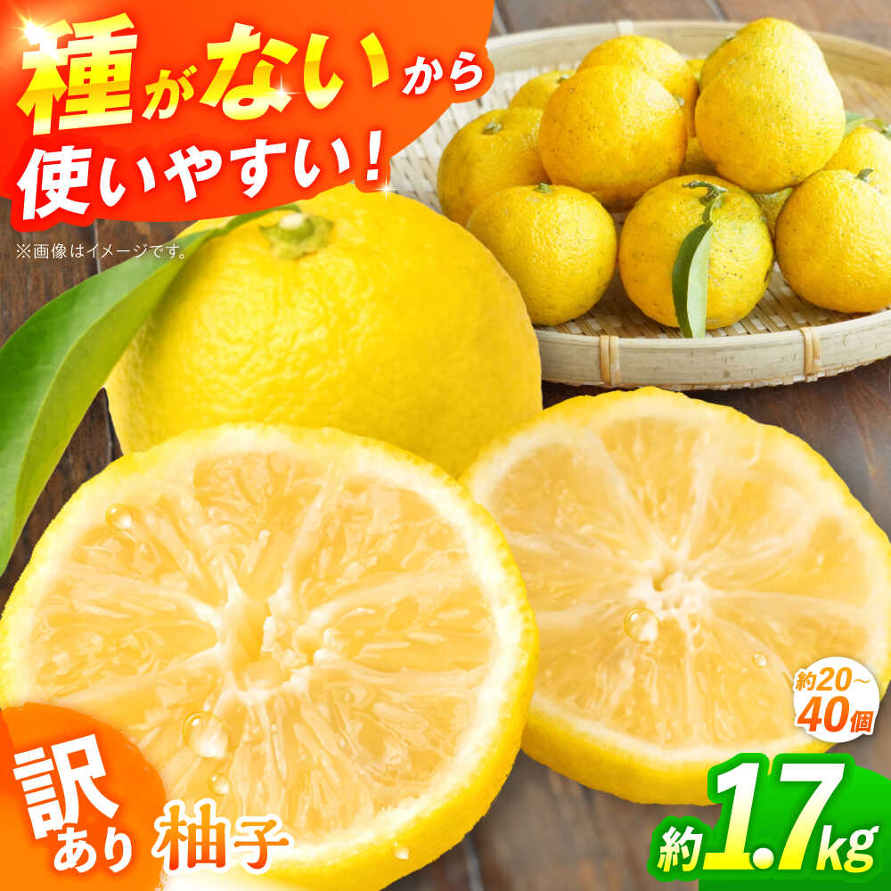 【ふるさと納税】【訳あり】【2026年先行予約】種なし柚子 約1.7kg（約20個から40個）＜2026年11月中旬より順次発送＞ ゆず 種無し ユズ 訳あり 家庭用 柚子 種なし 香り 料理 鍋 薬味 ドリンク 風呂 冬至 ジャム おすすめ 人気 三次市/小さなくだもの畑[APAQ003]