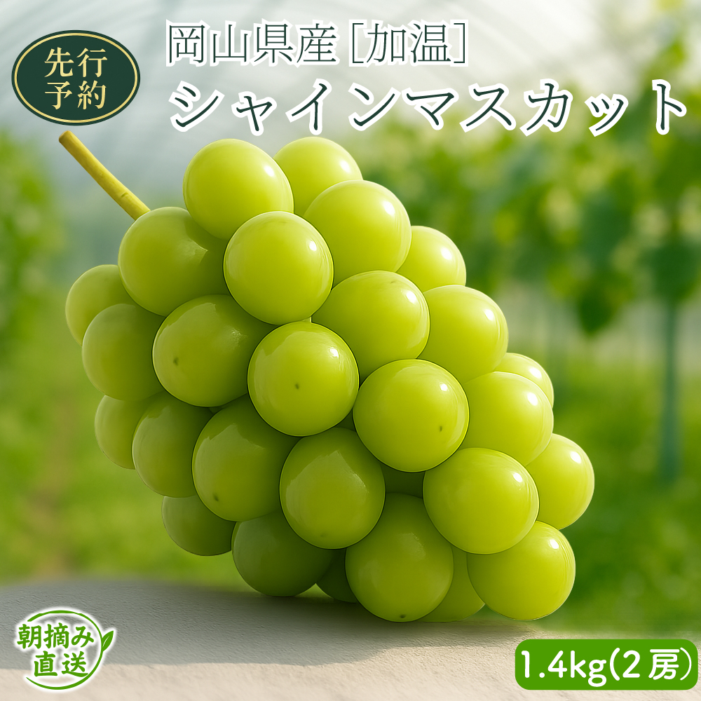 【2026年先行予約】［加温］岡山県産シャインマスカット 1.4kg（２房入）