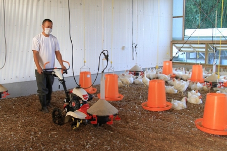 085-06 「さつま極鶏大摩桜」鶏刺しバラエティーセット