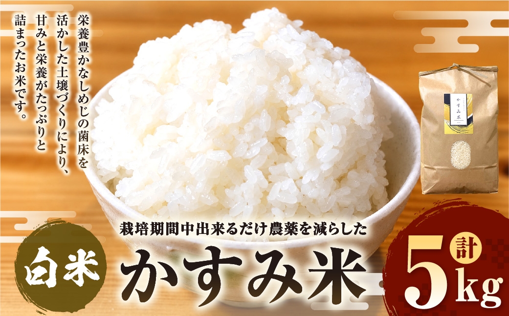 
                  栽培期間中出来るだけ農薬を減らした「かすみ米」白米 5kg 茨城県共通返礼品 ・ 潮来市産 お米 米 こしひかり 精米 白飯 ご飯 おにぎり 和食 国産 茨城県産
                