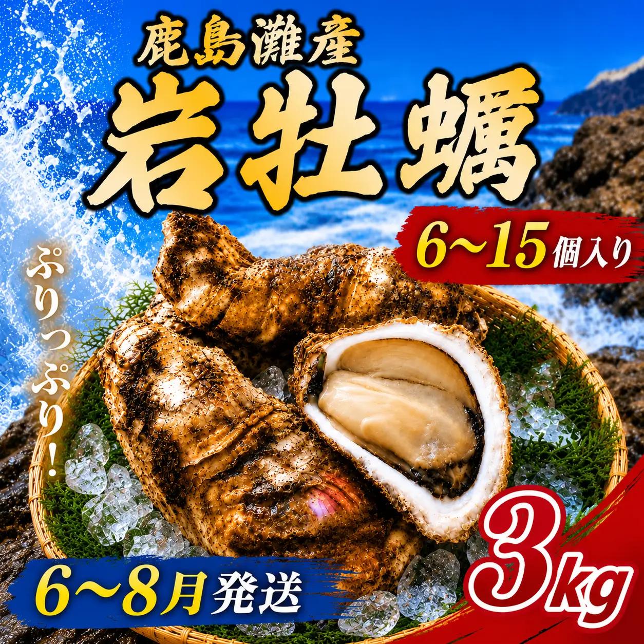 牡蠣 岩牡蠣 3㎏ 6～15個 海産物 天然岩牡蠣 産地直送 国産 茨城県 鹿嶋市