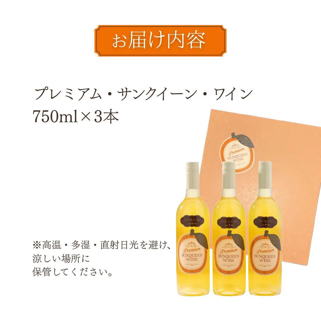 ワイン つくみサンクイーンワイン 3本 | 津久見市