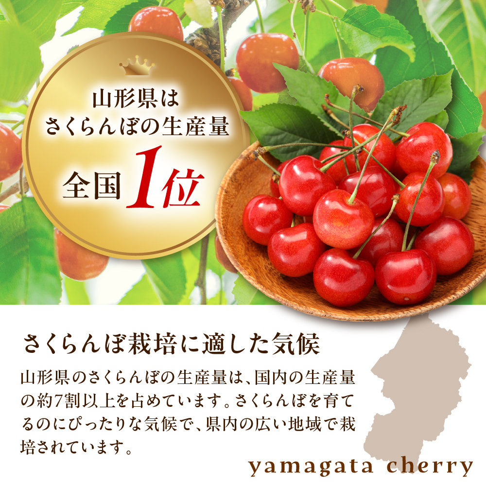 【先行予約】 令和9年産 さくらんぼ やまがた紅王 360g ( 180g × 2パック ) バラ詰め 2L ～ 3L 2027年6月中旬～7月上旬頃 お届け予定 山形県 米沢市
