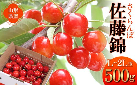 
                  【2027年先行予約】さくらんぼ 佐藤錦 500g 秀品 L～2Lサイズ FSY-1279
                