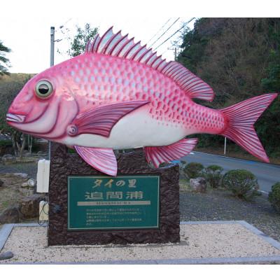 ふるさと納税 南伊勢町 鯛 皮つき しゃぶしゃぶ 100g 4袋セット 刺身カット済 伊勢志摩産 熟成鯛で海鮮丼におすすめ |  | 03