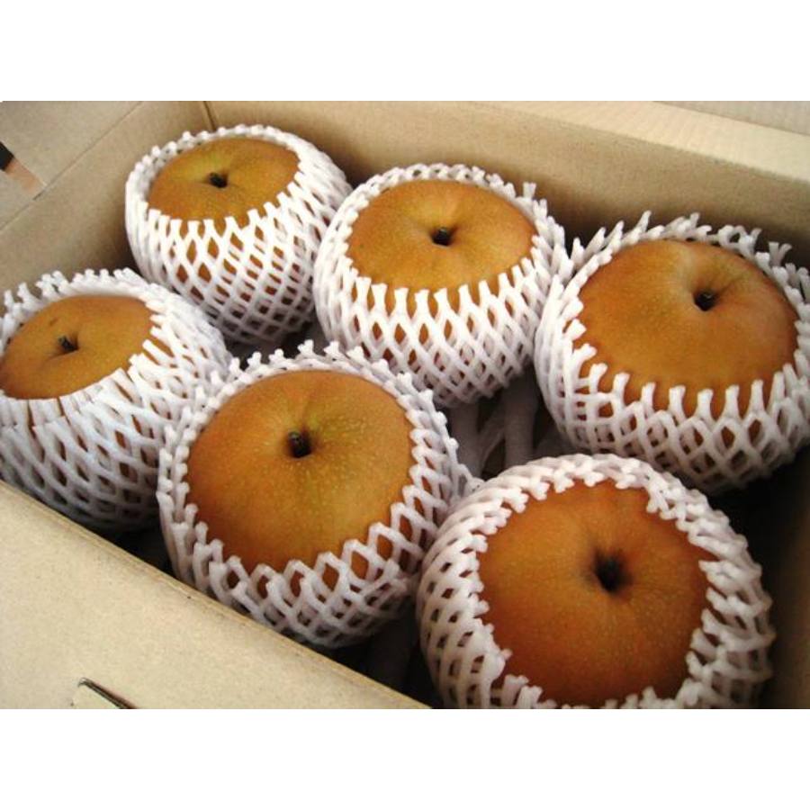 ＜ふれあいプラザ須金＞「豊水」2.5kg（4～7個）