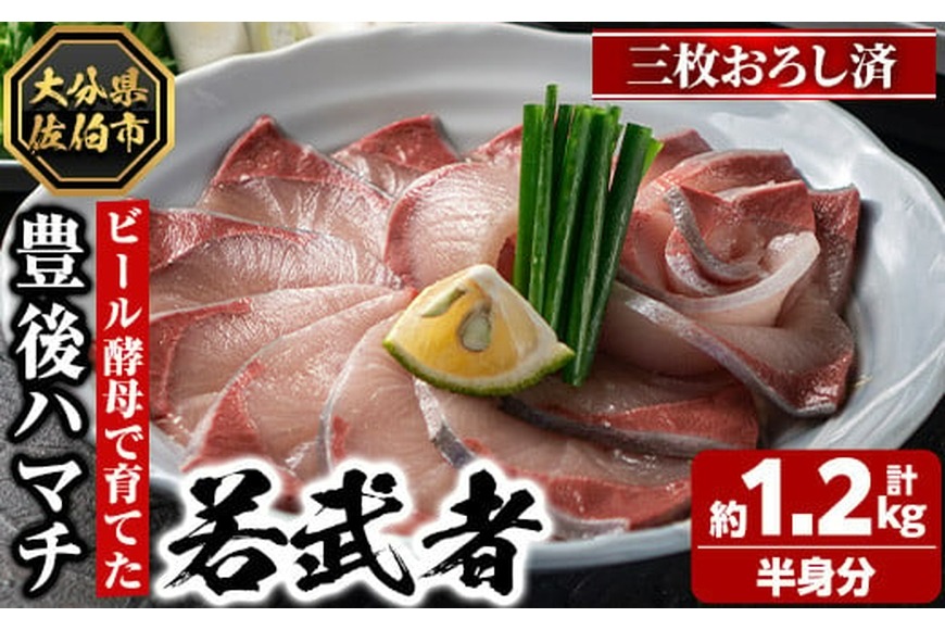 豊後ハマチ 若武者(三枚おろし半身) ハマチ はまち 鮮魚 旬 刺身 三枚おろし 国産 大分県 佐伯市 特産品【GS003】【浪井丸天水産】