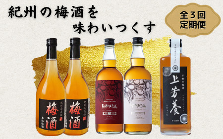 【3カ月定期便】紀州の梅酒を味わいつくす定期便（紀州梅酒・HAMADA・上芳養） / 紀州南高梅 南高梅 梅酒 お酒 アルコール 和歌山 田辺市【tnb001】