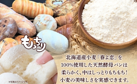 パン詰合せ おまかせ北海道産小麦天然酵母 パン詰合せ【10個前後入り】【定期便】