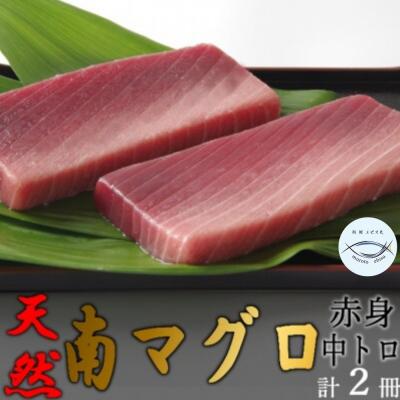 ふるさと納税 室戸市 【中トロ】【赤身】天然南マグロ　中トロ1冊　赤身1冊