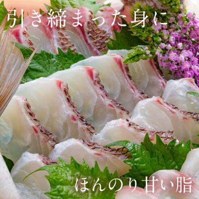 ふるさと納税 延岡市 宮崎産 みやざきまだい 皮なし 1500g(冷凍) |  | 03