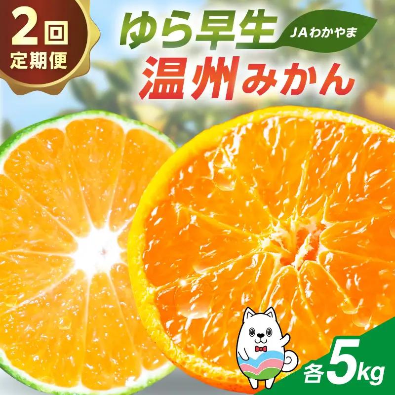 【2回定期便】JAわかやま 紀州のゆら早生･温州みかん【8077】