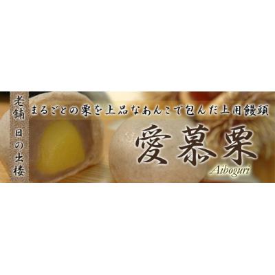 ふるさと納税 徳島市 徳島銘菓　愛慕栗(あいぼぐり)　16個入【CN098】 |  | 01