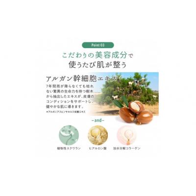 ふるさと納税 池田市 ピーリングジェルミルク |  | 03