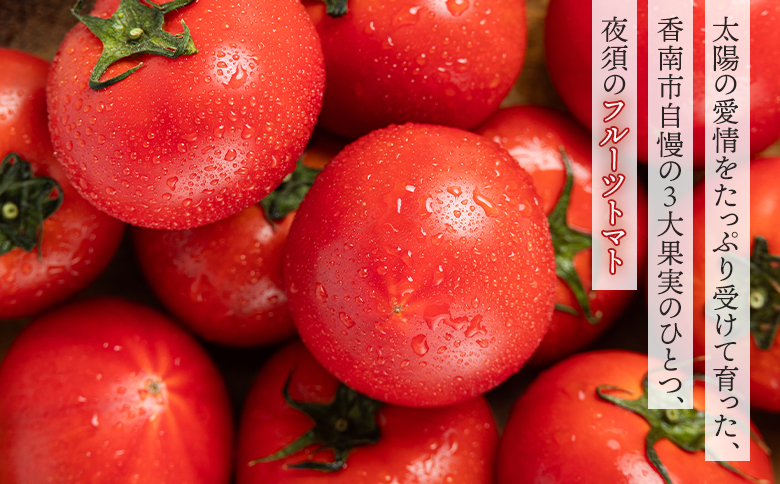 【2027年出荷分】【3回定期便】夜須のフルーツトマト 約2kg【旅サラダに取り上げられました！】 先行予約受付 期間限定 季節限定 野菜 やさい フルティカ 完熟 小ぶり 小さめ 糖度 熨斗 のし対