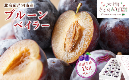 【 先行受付 】プルーン ベイラー 1kg 生 フルーツ 果物 旬のフルーツ 旬の果物 くだもの 北海道 芦別市