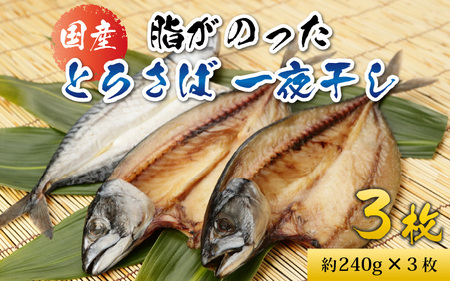 国産 とろさば 一夜干し 3枚 脂がのった さば 干物 天日干し