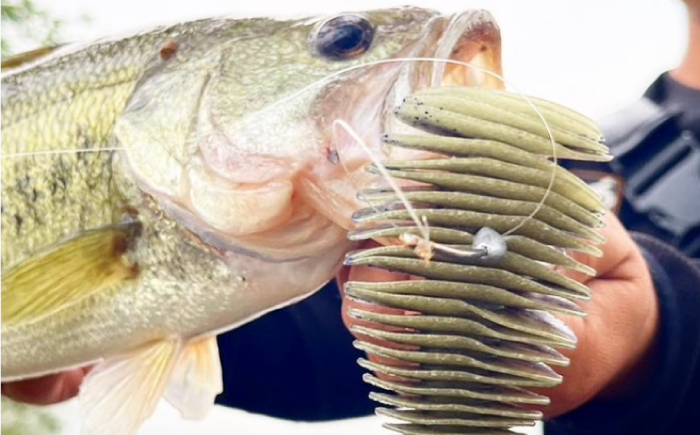 ベローズギル2.8inch 4点アソートセット 釣具 釣り用品 海釣り 岐阜市 / ジークラック [ANIG009]